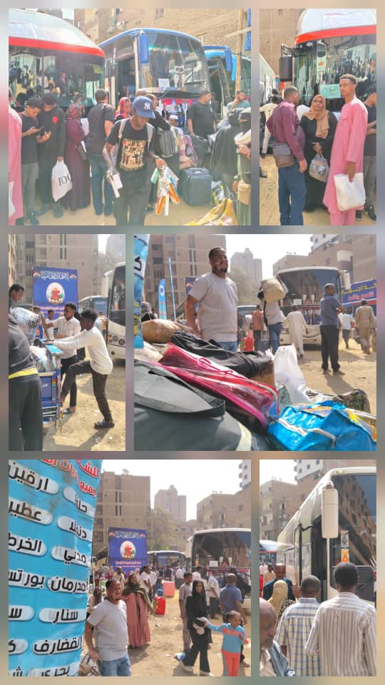 فى أكبر رحلة تفويجية.. تسيير ثلاثة وثلاثين رحلة من القاهرة والأسكندرية وأسوان فى أكبر رحلة تفويجية.. تسيير ثلاثة وثلاثين رحلة من القاهرة والأسكندرية وأسوان