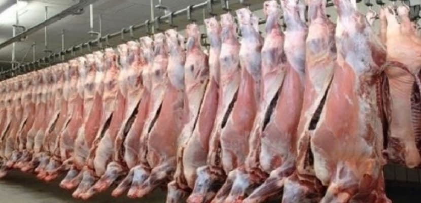 السودان يفتح أسواق جديدة لرفع صادرات اللحوم السودان يفتح أسواق جديدة لرفع صادرات اللحوم