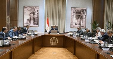 رئيس الوزراء يتابع الإجراءات اللوجيستية لاحتفالات افتتاح المتحف المصرى الكبير020 رئيس الوزراء يتابع الإجراءات اللوجيستية لاحتفالات افتتاح المتحف المصرى الكبير