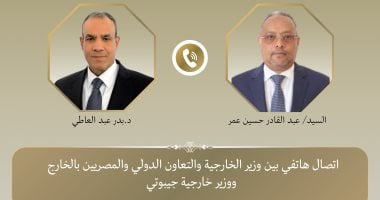 وزير الخارجية يبحث مع نظيره الجيبوتى تطورات الأوضاع فى القرن الأفريقى