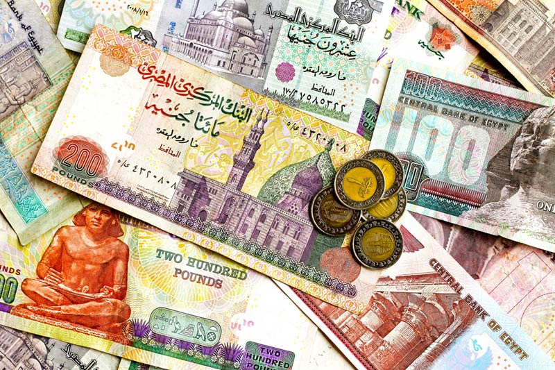 الدولار يستقر عند هذا السعر في مصر بعد ارتفاعات متواصلة فوق 50 جنيها