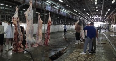 محافظ القاهرة: 7 مجازر تستقبل أضاحى المواطنين مجانا طوال أيام العيد020 محافظ القاهرة: 7 مجازر تستقبل أضاحى المواطنين مجانا طوال أيام العيد