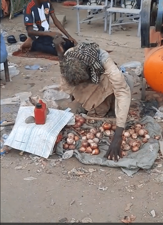 الناير يخطف قلوب السودانيين .. شاهد قصته