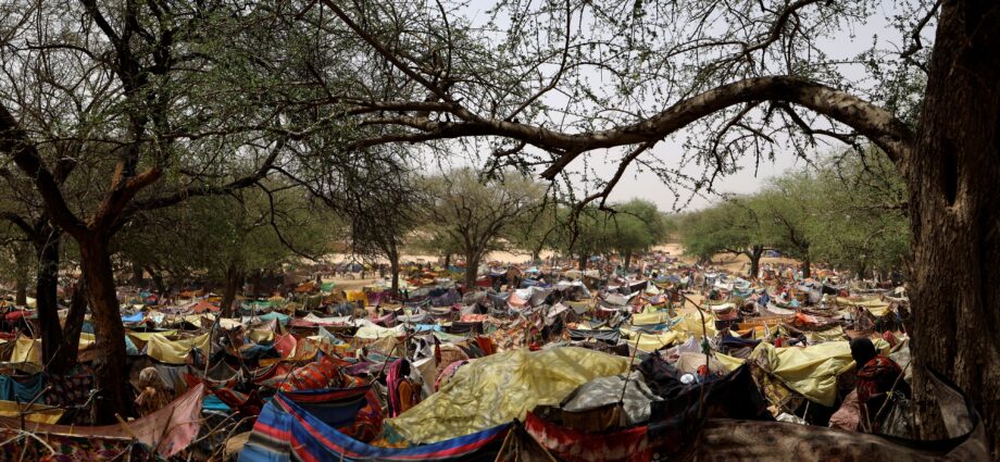 لاجئون سودانيون يدفعون 150 ألف دولار لـ مواطن تشادي.. ما القصة