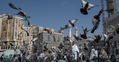 نجاح نفرة الحجاج من عرفات إلى المزدلفة.. وجهود متميزة لبعثة حج القرعة020 نجاح نفرة الحجاج من عرفات إلى المزدلفة.. وجهود متميزة لبعثة حج القرعة
