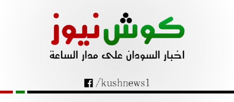 المنظمة الدولية للهجرة: القضارف وشمال دارفور ونهر النيل وجنوب دارفور والنيل الأزرق تتصدر الولايات الأكثر تضررا من النزوح