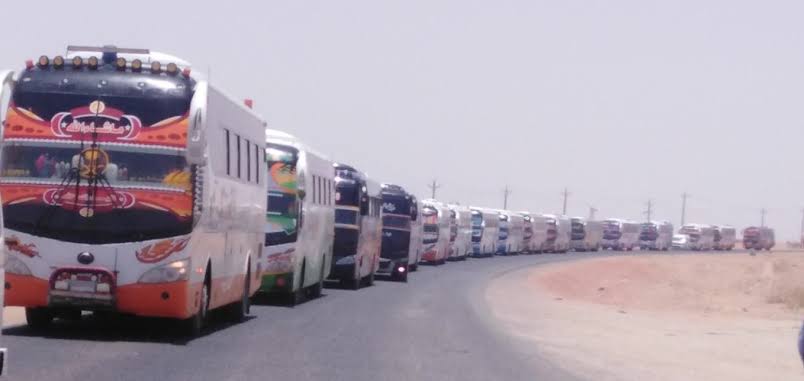 300 بص تنقل السودانيين من مصر يوميا