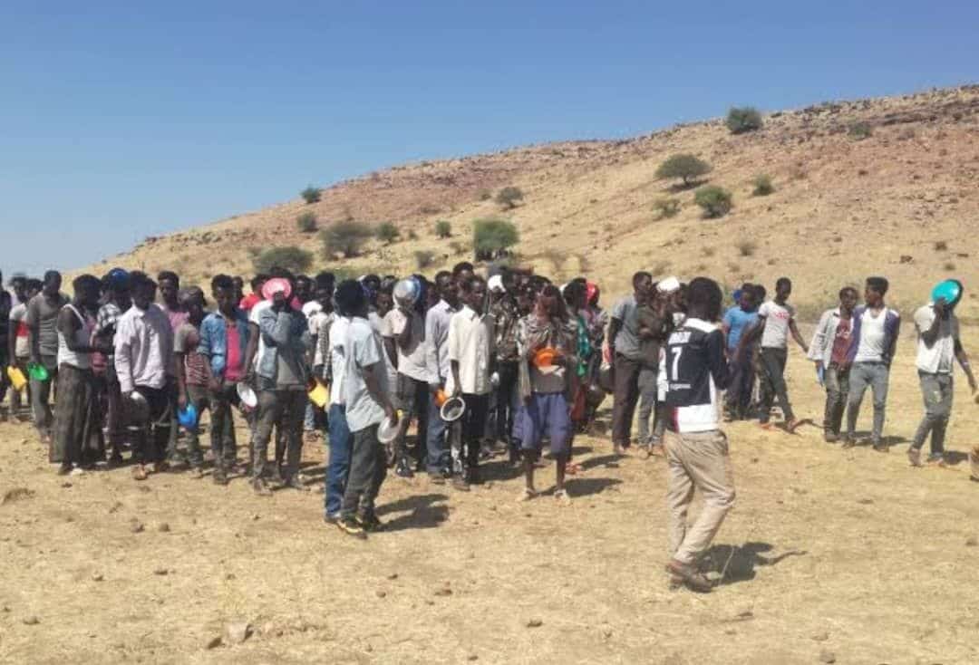 الجيش يفاجئ المهربين.. القوات المسلحة تحبط أخطر عملية اتجار بالبشر020 الجيش يفاجئ المهربين.. القوات المسلحة تحبط أخطر عملية اتجار بالبشر