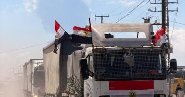 تحمل أعلام مصر.. دخول المساعدات الإنسانية لقطاع غزة.. فيديو