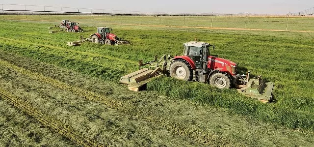 محافظ مشروع الجزيرة .. خطط جاهزة لاعمار مشروع الجزيرة