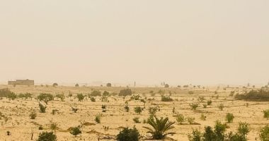 العاصفة الترابية تصل شمال سيناء والمحافظة ترفع درجة الاستعداد القصوى.. صور020 العاصفة الترابية تصل شمال سيناء والمحافظة ترفع درجة الاستعداد القصوى.. صور