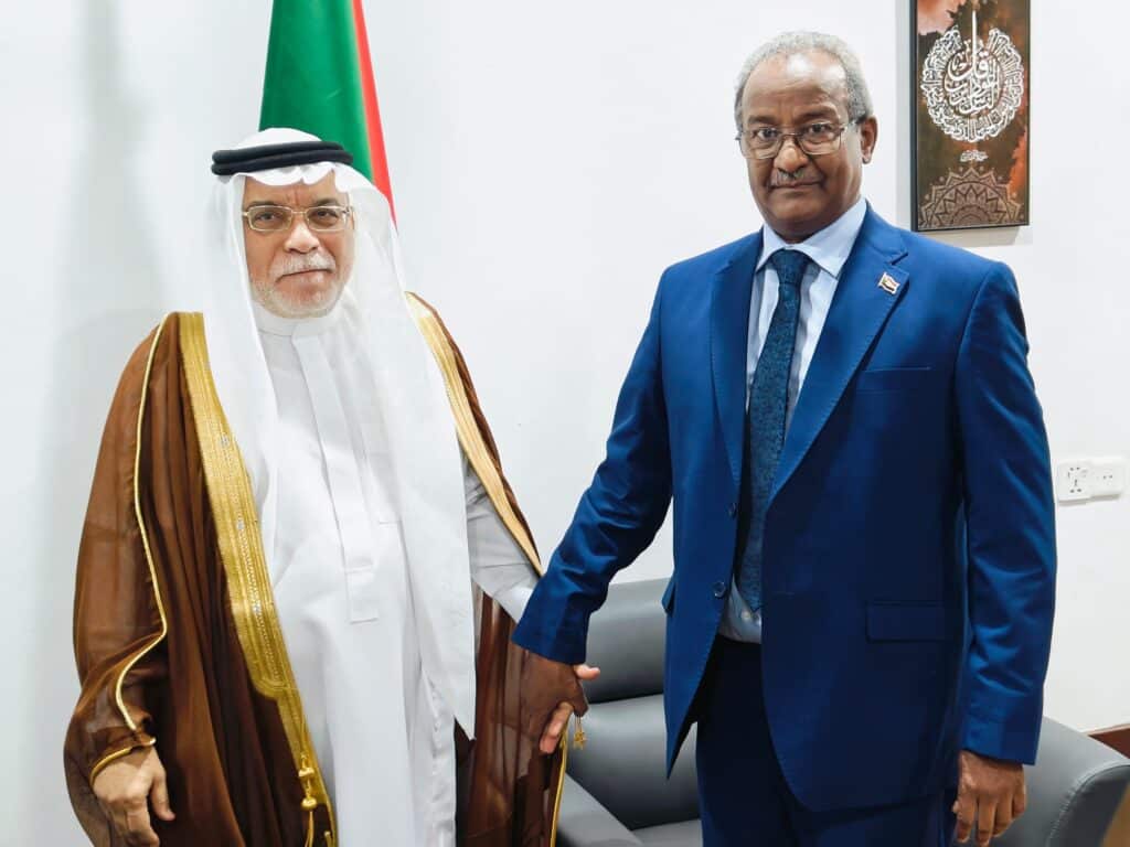 لقاء استراتيجي بين سفير السعودية ووكيل الخارجية020 لقاء استراتيجي بين سفير السعودية ووكيل الخارجية