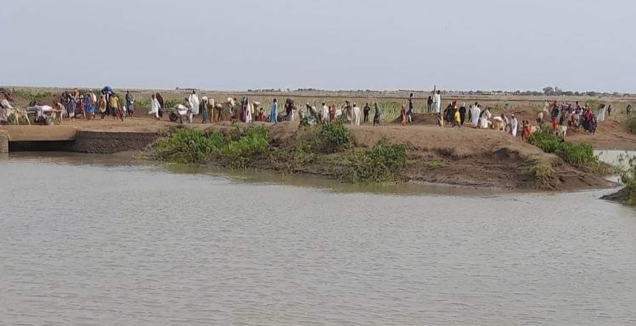 السودان نزوح مئات الأسر من جبل موية بعد سيطرة قوات الدعم السريع