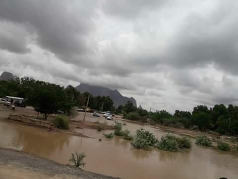 توقعات بهطول أمطار غزيرة في أربع ولايات سودانية