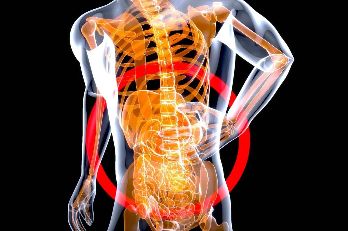 دراسة: شيخوخة الأمعاء تزيد من تدهور القدرات الإدراكية