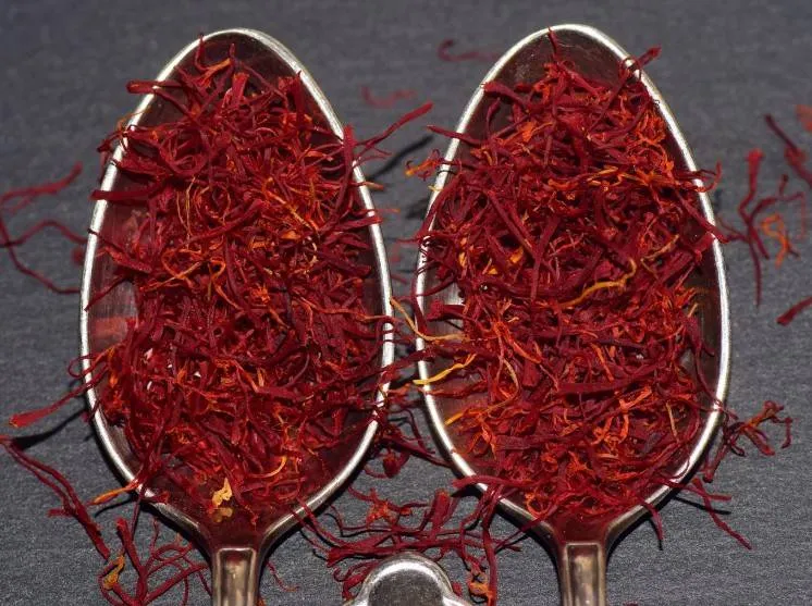 7 فوائد صحية قد لا تعرفها عن الزعفران... ما هي