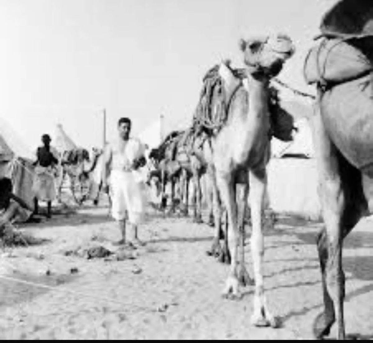 الحجاج المشاة في الدولة السعودية تاريخ من الرعاية والتنظيم020 الحجاج المشاة في الدولة السعودية تاريخ من الرعاية والتنظيم
