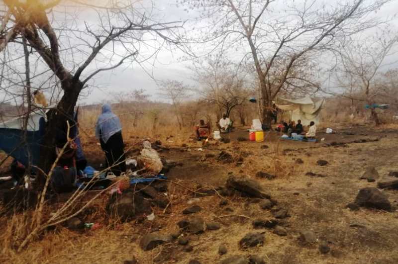 الغارديان : اللاجئون السودانيون  في غابات في إثيوبيا .. أزمة مستمرة