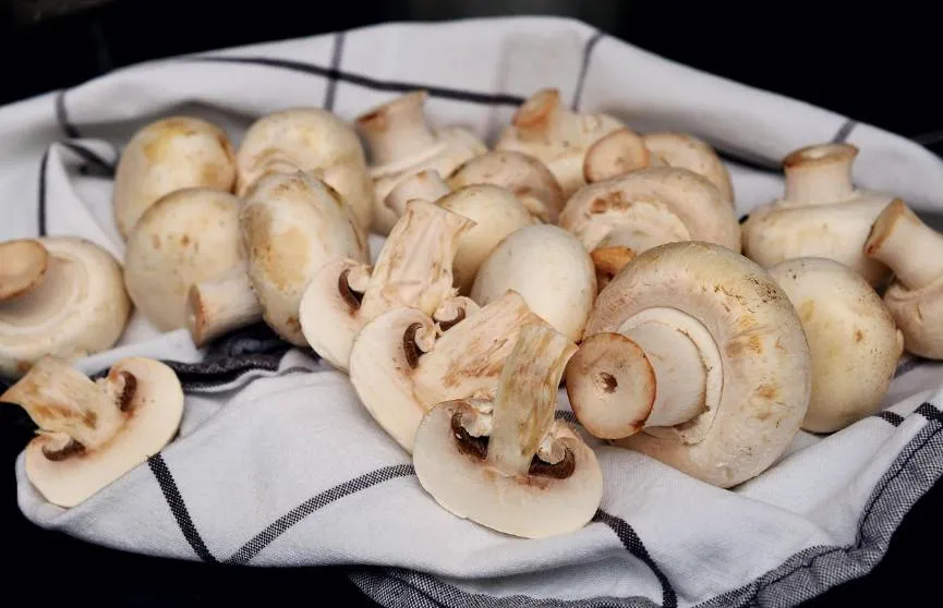 كيف يؤثر تناول الفطر بانتظام على ضغط الدم