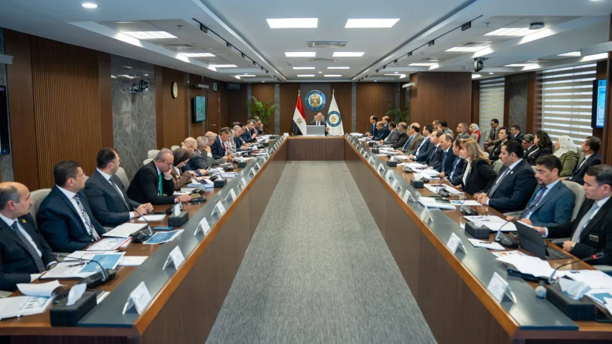 مصر تعزز أمن الطاقة بتنويع مصادر توفير الاحتياجات المحلية