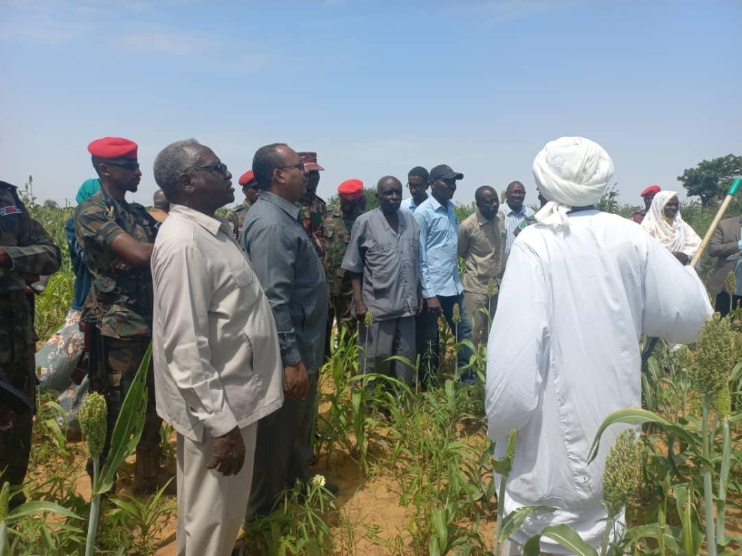 ولاية سودانية تحقق انتاجية في المحاصيل الزراعية  