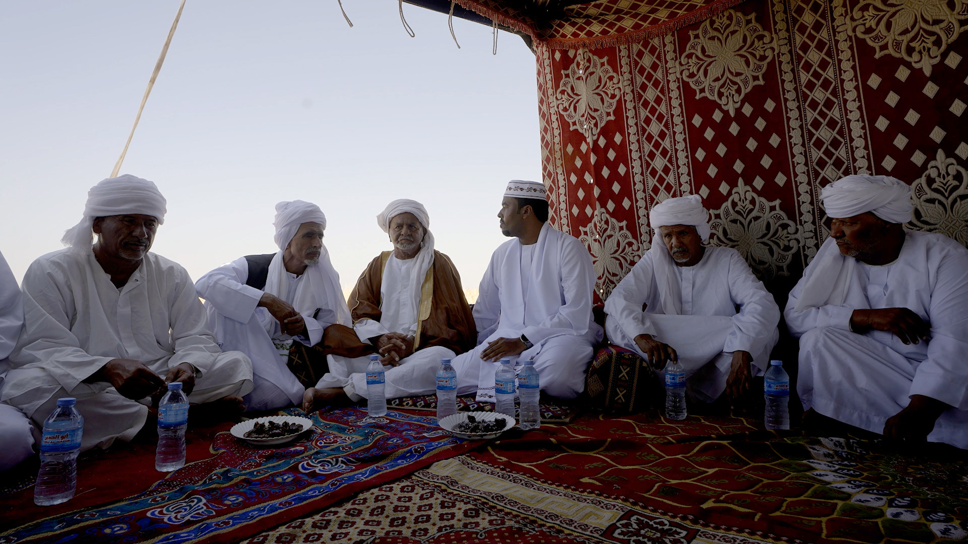 عمران يزور قبيلة الرشايدة السودانية ويتعرف على تاريخها ونوقها