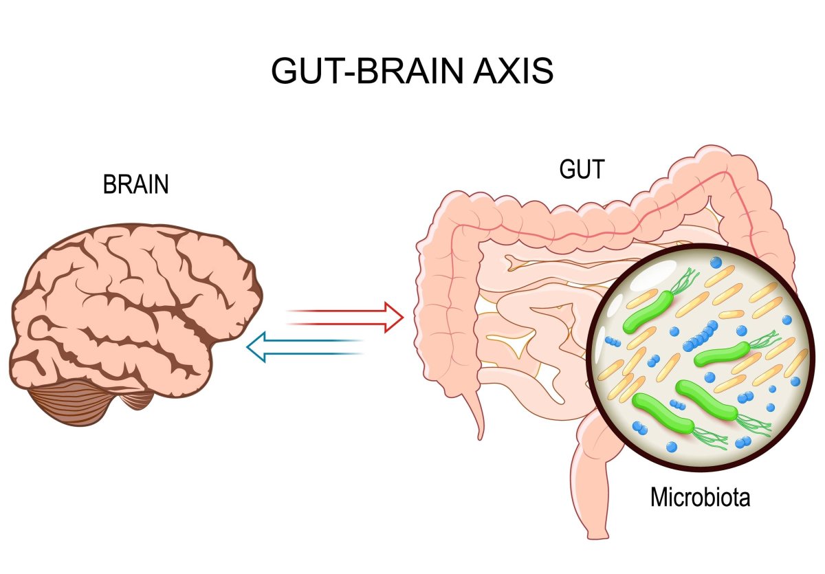 ميكروبات الأمعاء وتأثيراتها على الصحة العقلية