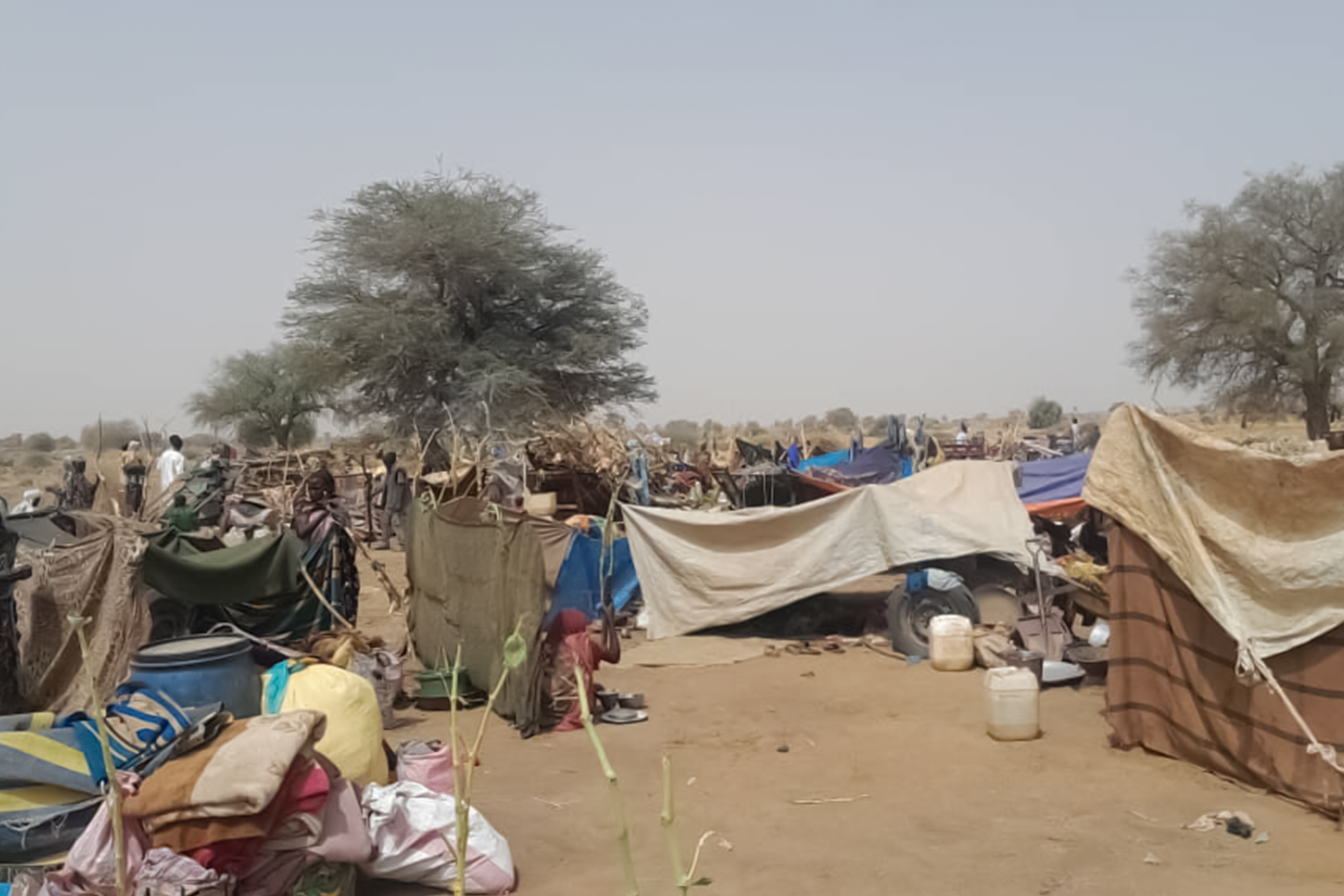 ناشطون سودانيون يتهمون الدعم السريع بقتل 14 مدنيا بالفاشر020 ناشطون سودانيون يتهمون الدعم السريع بقتل 14 مدنيا بالفاشر