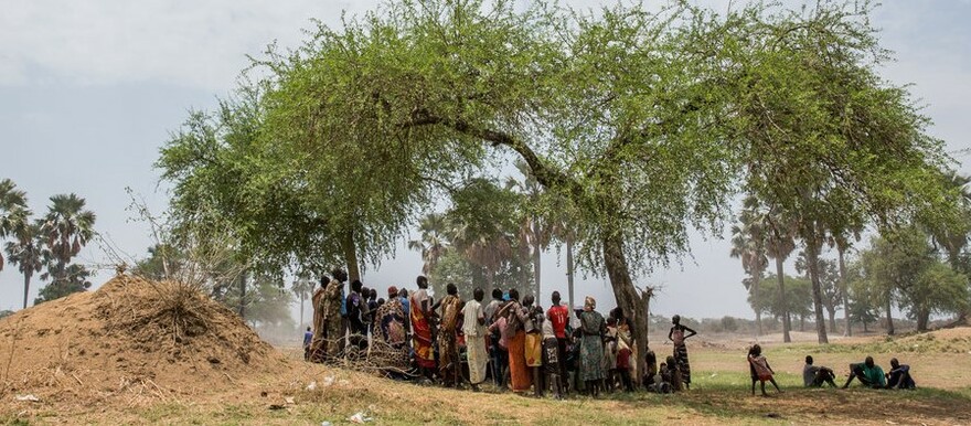 المجاعة تهدد أكثر من 8 آلاف لاجئ جنوب سوداني في ولاية سودانية