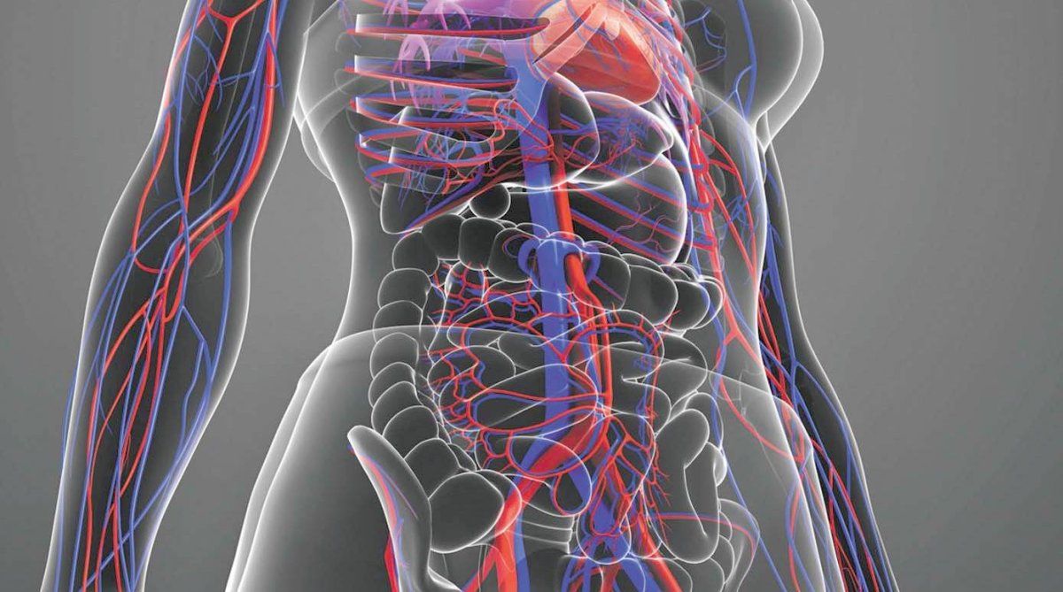 فك ألغاز ضعف الدورة الدموية