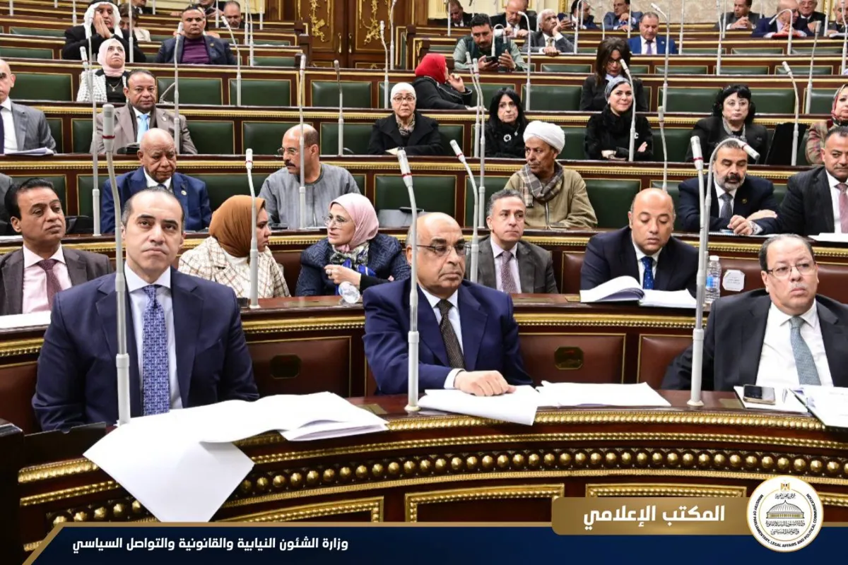 مصر تصادق على اتفاقية نقل المحكومين مع الإمارات020 مصر تصادق على اتفاقية نقل المحكومين مع الإمارات